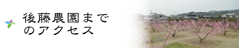 板東の桃